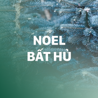 Nhạc Giáng Sinh Bất Hủ Hay Nhất - Various Artists