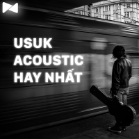 Nhạc Acoustic USUK Hay Nhất - Various Artists