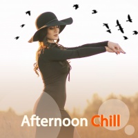 Afternoon Chill - Various Artists
