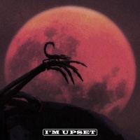 I'm Upset (Single) - Drake
