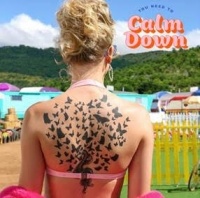 You Need To Calm Down - Taylor Swift
