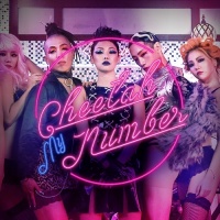 My Number - Cheetah