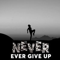 Never Ever Give Up - Various Artists