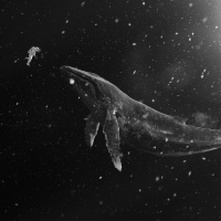 Sing For You – Winter Special Album 2015 (Chinese Ver) - EXO