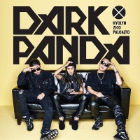 Dark Panda - Hyorin (Sistar), ZICO (Block B)