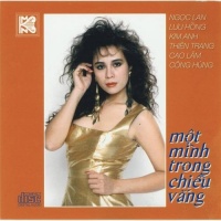 Một Mình Trong Chiều Vắng - Various Artists