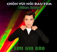 Chôn Vùi Nỗi Đau (Single) - Lưu Gia Bảo
