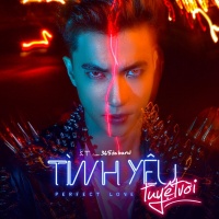 Tình Yêu Tuyệt Vời (Perfect Love) - ST (365), Nicky (St.319)