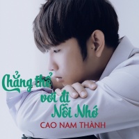Chẳng Thể Vơi Đi Nỗi Nhớ - Cao Nam Thành