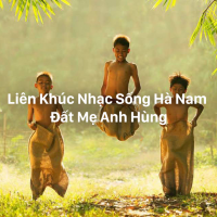 Liên Khúc Nhạc Sống Hà Nam Đất Mẹ Anh Hùng - Various Artists