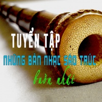 Những Bản Nhạc Không Lời Bằng Sáo Hay Nhất (Vol 1) - Various Artists