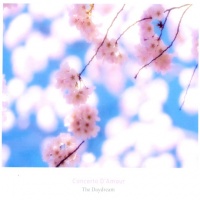 Concerto D'Amour - The Daydream