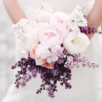 Những Bản Nhạc Không Lời Hay Cho Đám Cưới (Vol.1) - Various Artists