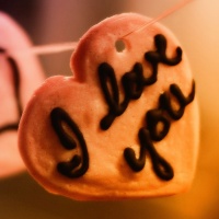 Những Bản Nhạc Không Lời Hay Về Tình Yêu - Various Artists