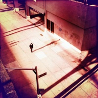 Awake In The City - The American Dollar