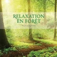 Relaxation En Foret - Stuart Jones