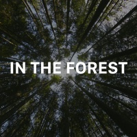 In The Forest - Various Artists
