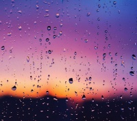 Cho Người Tình Lỡ - Various Artist