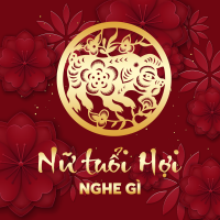 Nữ Tuổi Hợi Nghe Gì? - Various Artists