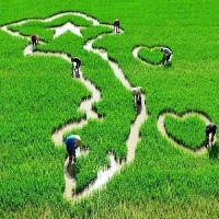 Những Bài Hát Trẻ Hay Nhất Về Tình Yêu Việt Nam - Various Artists