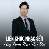 LK Nhạc Sến Con Đường Xưa Em Đi Hay Nhất Mọi Thời Đại - Various Artists