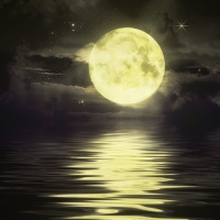 Những Bài Hát Hay Nhất Về Trăng - Various Artists