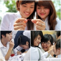 Những Bài Hát Cho Năm Học Cuối - Various Artists