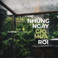 Những Ngày Gió Mưa Rơi - Various Artists