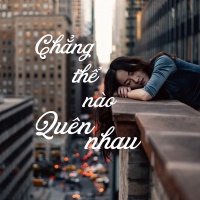 Chẳng Thể Nào Quên Nhau - Various Artists