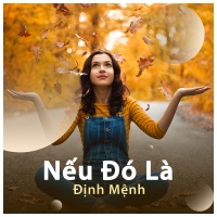 Nếu Đó Là Định Mệnh - Various Artists