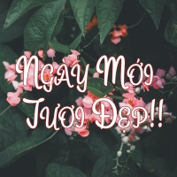Ngày Mới Tươi Đẹp - Various Artists