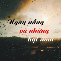 Ngày Nắng Và Những Hạt Mưa - Various Artists