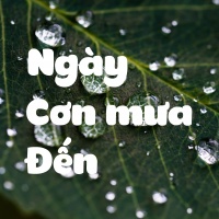 Ngày Cơn Mưa Đến - Various Artists