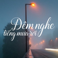 Đêm Nghe Tiếng Mưa Rơi - Various Artists