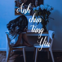 Anh Chưa Từng Yêu - Various Artists