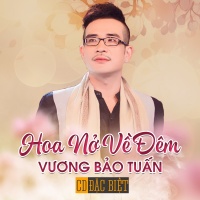 Hoa Nở Về Đêm - Vương Bảo Tuấn