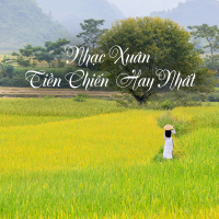 Tuyển Tập Các Ca Khúc Nhạc Xuân Tiền Chiến Chọn Lọc Hay Nhất - Various Artists