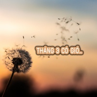 Tháng 3 Có Gió - Various Artists