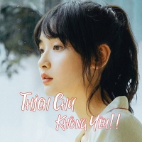 Thích Chứ Không Yêu - Various Artists