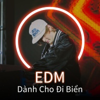 EDM Dành Cho Đi Biển - Various Artists