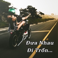 Đưa Nhau Đi Trốn - Various Artists
