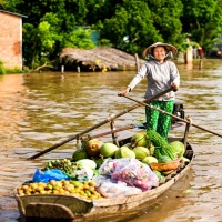 Những Bài Hát Trữ Tình Quê Hương Hay Nhất (Vol.2) - Various Artist
