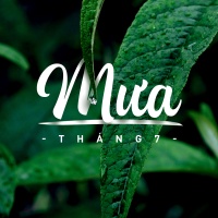 Mưa Tháng 7 - Various Artists