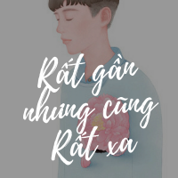 Rất Gần Nhưng Cũng Rất Xa - Various Artists