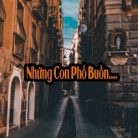 Những Con Phố Buồn - Various Artists