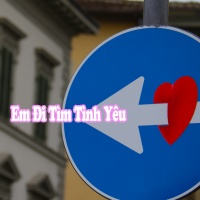 Em Đi Tìm Tình Yêu - Various Artists