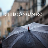CHIẾC Ô NGĂN ĐÔI - Various Artists