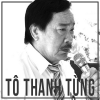 Những Sáng Tác Hay Nhất Của Tô Thanh Tùng - Tô Thanh Tùng