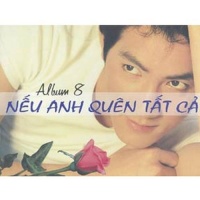 Nếu Anh Quên Tất Cả - Nguyễn Phi Hùng