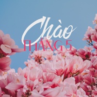 Chào Tháng 5 - Various Artists